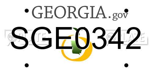 SGE0342 Georgia License Plate