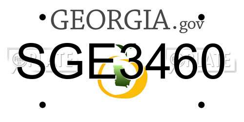 SGE3460 Georgia License Plate