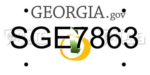 SGE7863 Georgia License Plate