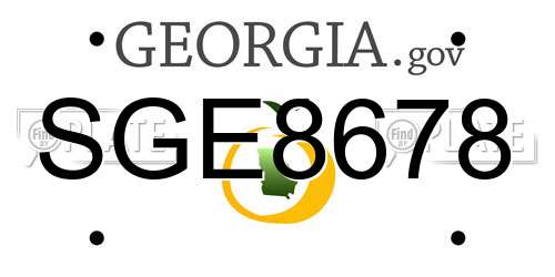 SGE8678 Georgia License Plate