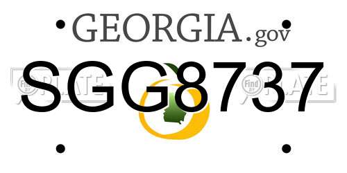SGG8737 Georgia License Plate