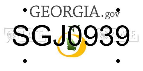 SGJ0939 Georgia License Plate