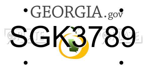 SGK3789 Georgia License Plate