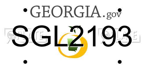 SGL2193 Georgia License Plate
