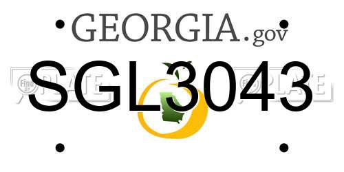 SGL3043 Georgia License Plate