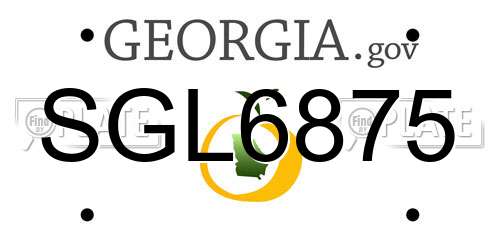 SGL6875 Georgia License Plate
