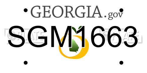 SGM1663 Georgia License Plate