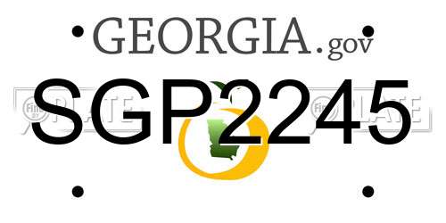 SGP2245 Georgia License Plate