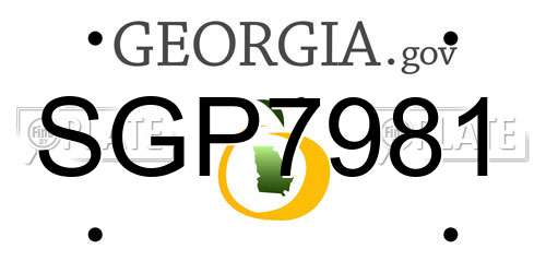SGP7981 Georgia License Plate