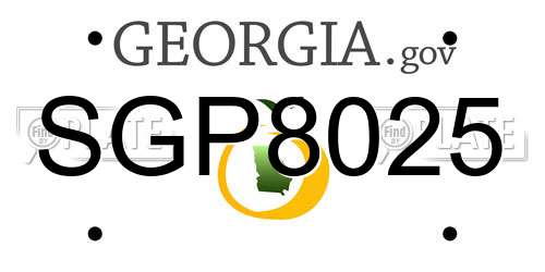 SGP8025 Georgia License Plate