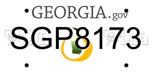 SGP8173 Georgia License Plate