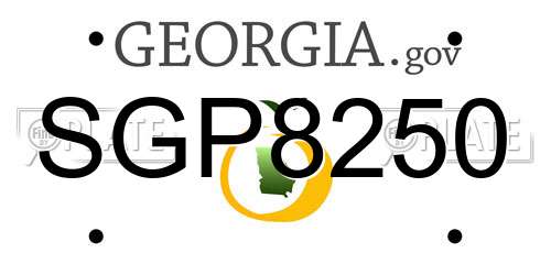 SGP8250 Georgia License Plate
