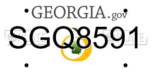 SGQ8591 Georgia License Plate