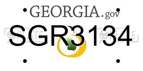 SGR3134 Georgia License Plate