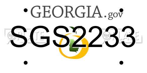 SGS2233 Georgia License Plate