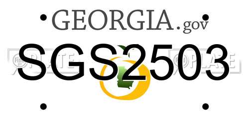 SGS2503 Georgia License Plate