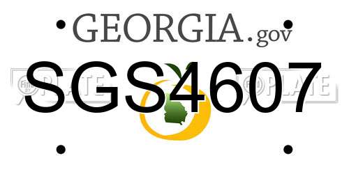 SGS4607 Georgia License Plate