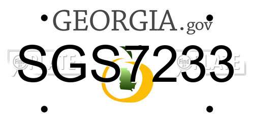 SGS7233 Georgia License Plate