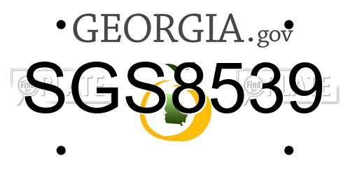 SGS8539 Georgia License Plate