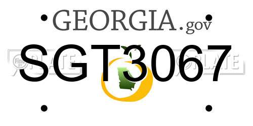SGT3067 Georgia License Plate