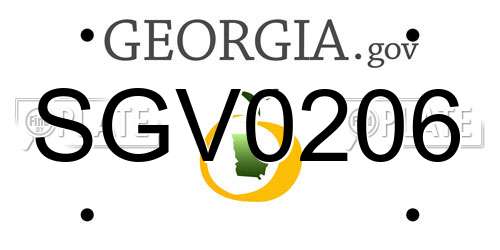 SGV0206 Georgia License Plate