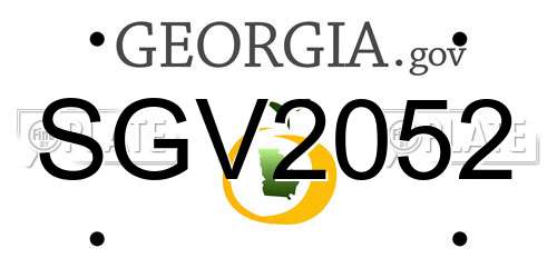 SGV2052 Georgia License Plate
