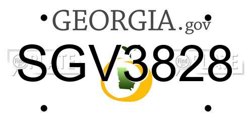 SGV3828 Georgia License Plate