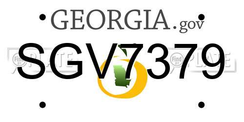 SGV7379 Georgia License Plate
