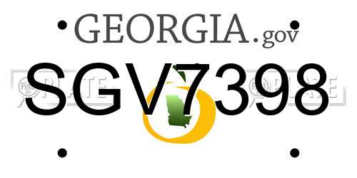 SGV7398 Georgia License Plate
