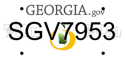 SGV7953 Georgia License Plate