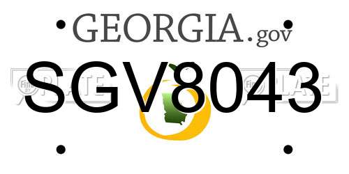 SGV8043 Georgia License Plate