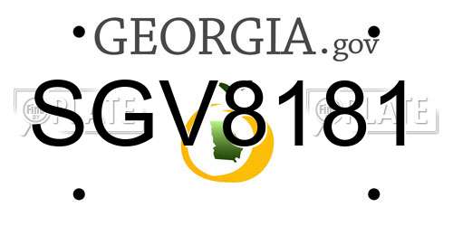 SGV8181 Georgia License Plate