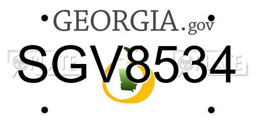 SGV8534 Georgia License Plate