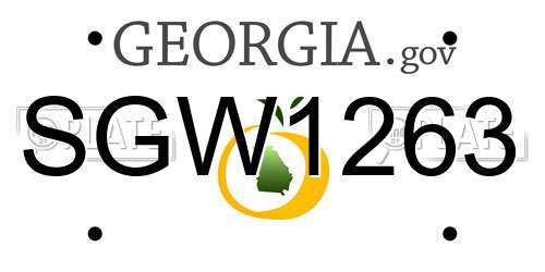 SGW1263 Georgia License Plate