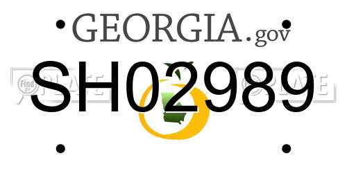 SH02989 Georgia License Plate