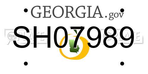 SH07989 Georgia License Plate
