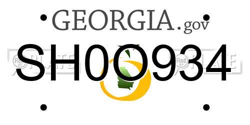 SH0O934 Georgia License Plate