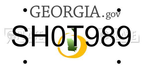 SH0T989 Georgia License Plate