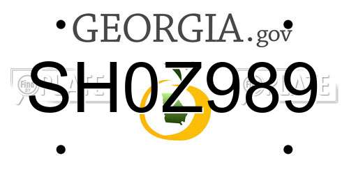 SH0Z989 Georgia License Plate