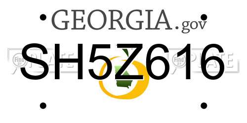 SH5Z616 Georgia License Plate