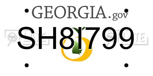 SH8I799 Georgia License Plate
