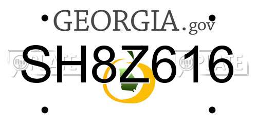 SH8Z616 Georgia License Plate