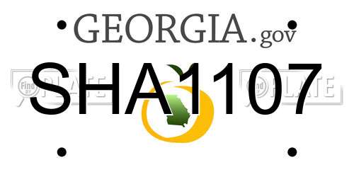 SHA1107 Georgia License Plate