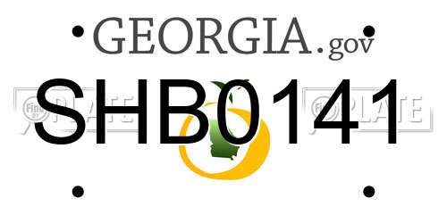 SHB0141 Georgia License Plate