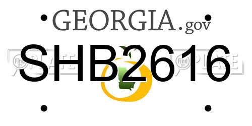 SHB2616 Georgia License Plate
