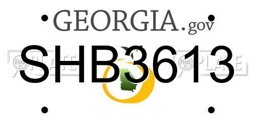 SHB3613 Georgia License Plate
