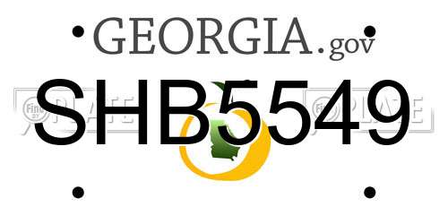 SHB5549 Georgia License Plate