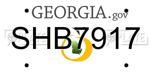 SHB7917 Georgia License Plate