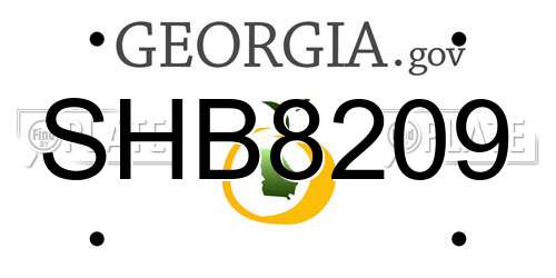 SHB8209 Georgia License Plate
