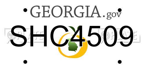 SHC4509 Georgia License Plate